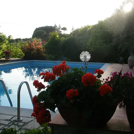 Guest house L'oasi Di Aaron Formello