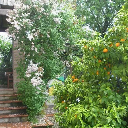 L'oasi Di Aaron Guest house *