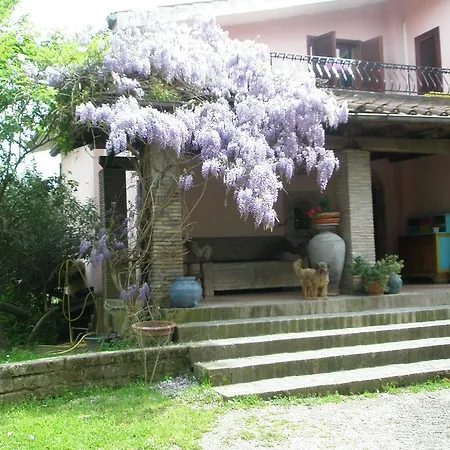 Guest house L'oasi Di Aaron